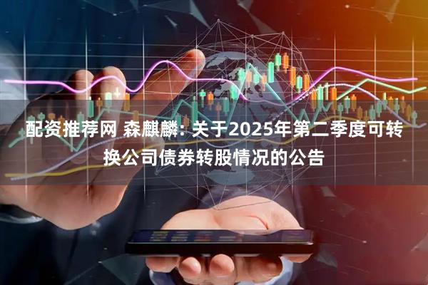 配資推薦網(wǎng) 森麒麟: 關(guān)于2025年第二季度可轉(zhuǎn)換公司債券轉(zhuǎn)股情況的公告