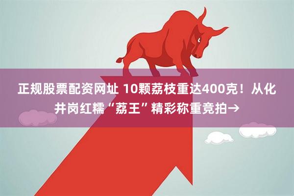 正規(guī)股票配資網(wǎng)址 10顆荔枝重達(dá)400克！從化井崗紅糯“荔王”精彩稱重競(jìng)拍→