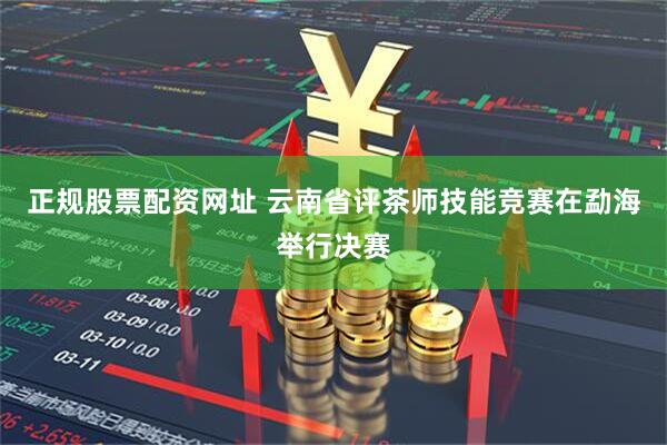 正規(guī)股票配資網(wǎng)址 云南省評(píng)茶師技能競(jìng)賽在勐海舉行決賽