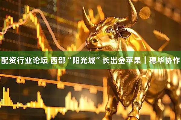 配資行業(yè)論壇 西部“陽光城”長出金蘋果｜穗畢協(xié)作