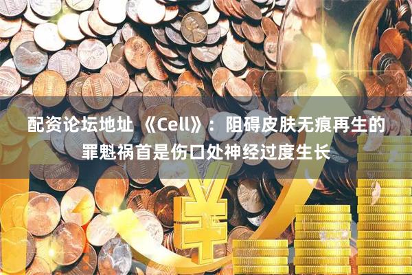 配資論壇地址 《Cell》：阻礙皮膚無痕再生的罪魁禍?zhǔn)资莻谔幧窠?jīng)過度生長